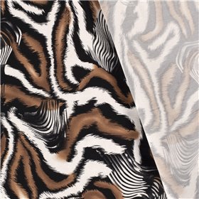 BENGALINE TIGER