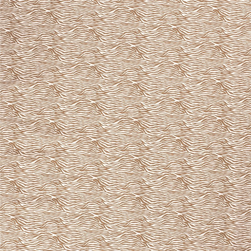 BENGALINE ZEBRA