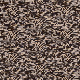 BENGALINE ZEBRA
