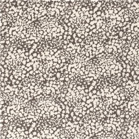 PL/SP BULLET PRINTED ABSTRACT