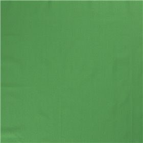 WOVEN COTTON LINNEN 200GSM UNI (15279)