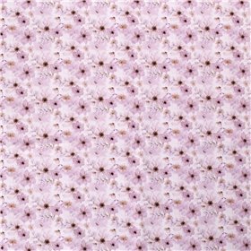SOFTSHELL DIGITAL FLOWERS