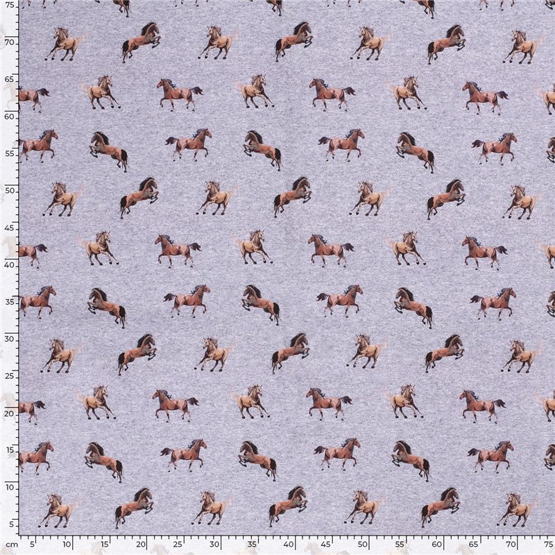 SOFTSHELL DIGITAL ANIMALS
