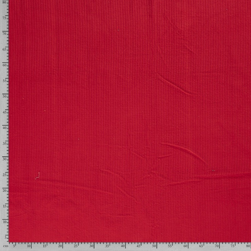 CORDUROY 4,5 W 3044