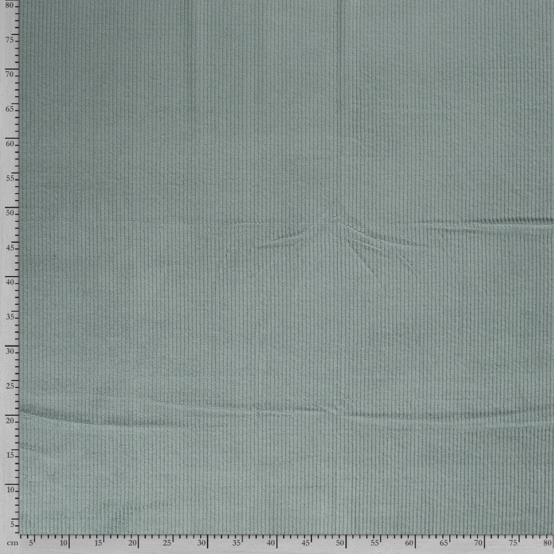 CORDUROY 4,5 W 3044