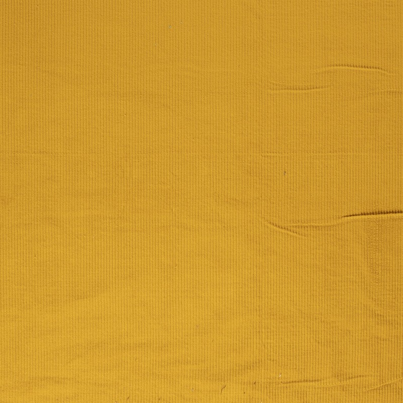 CORDUROY 4,5 W 3044