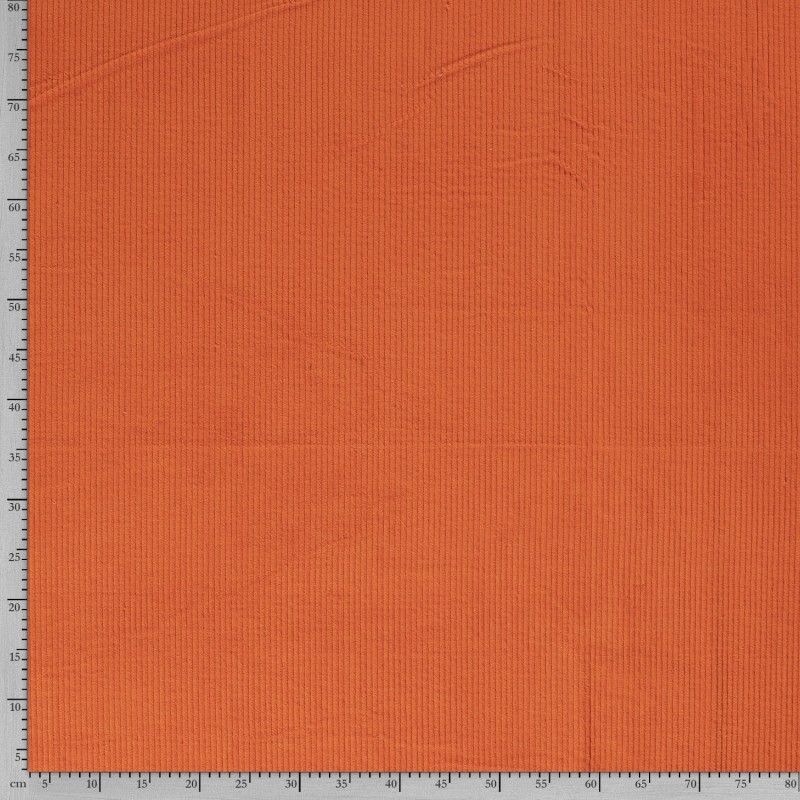 CORDUROY 4,5 W 3044