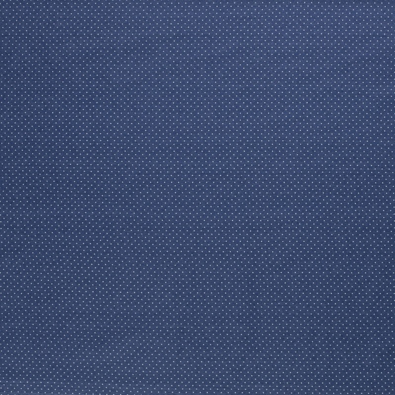 DENIM SMALL DOT 3620