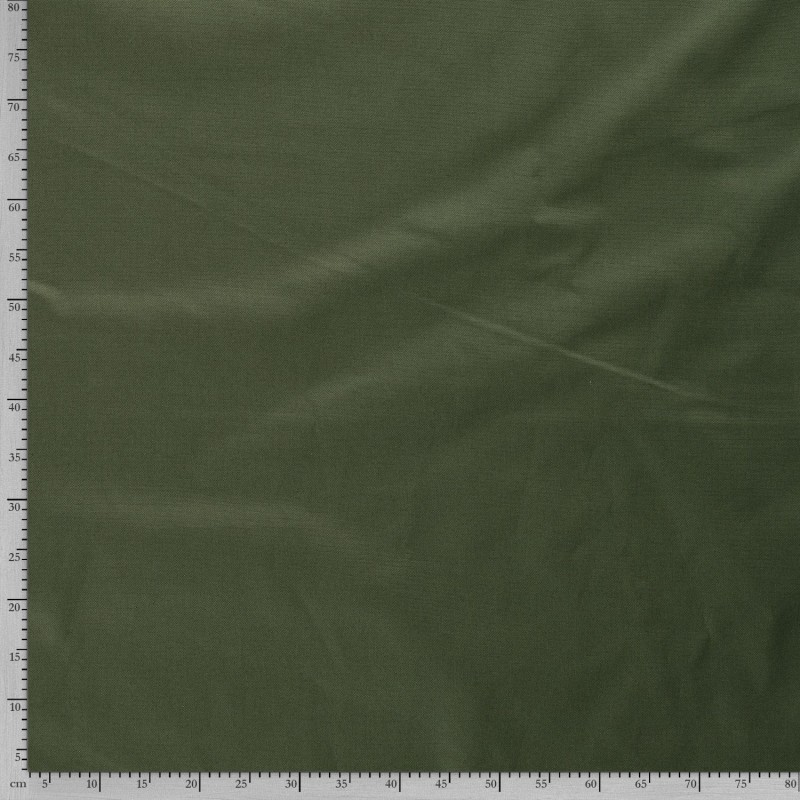 CANVAS 4795
