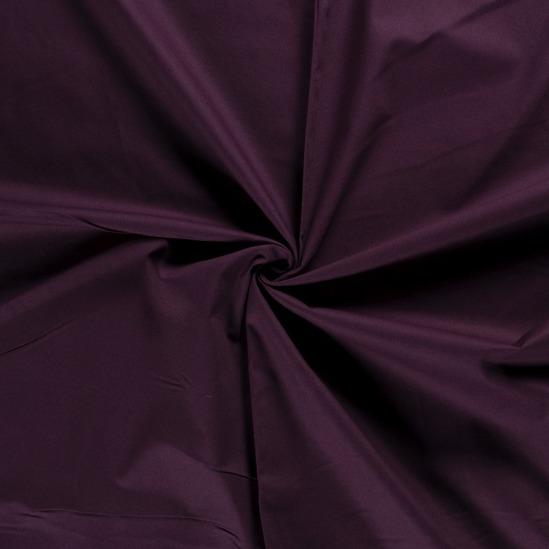 CANVAS 4795