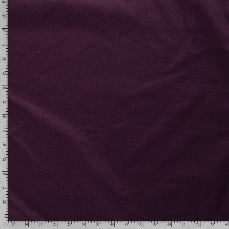 CANVAS 4795