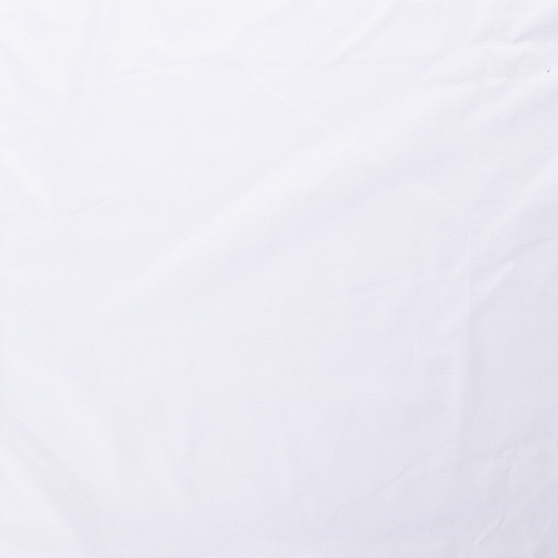 CANVAS 4795