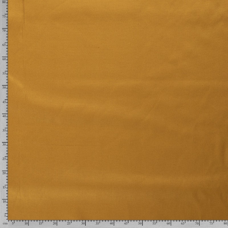 CANVAS 4795