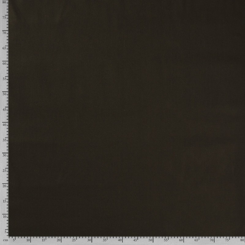 CANVAS 4795