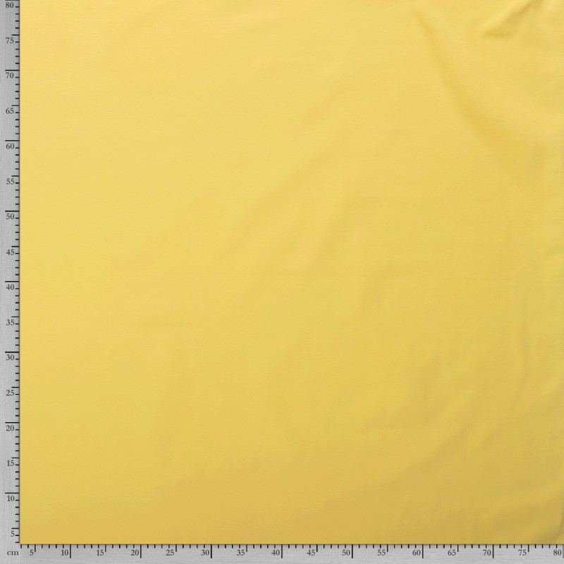 HEAVY COTTON JERSEY 5438