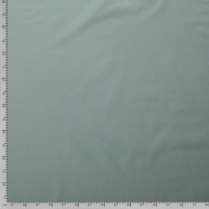 HEAVY COTTON JERSEY 5438