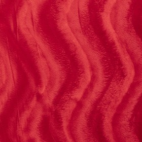 VELBOA GŁADKA RED