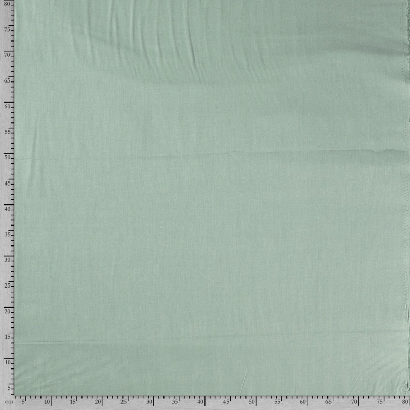 COTTON POPLIN 5569