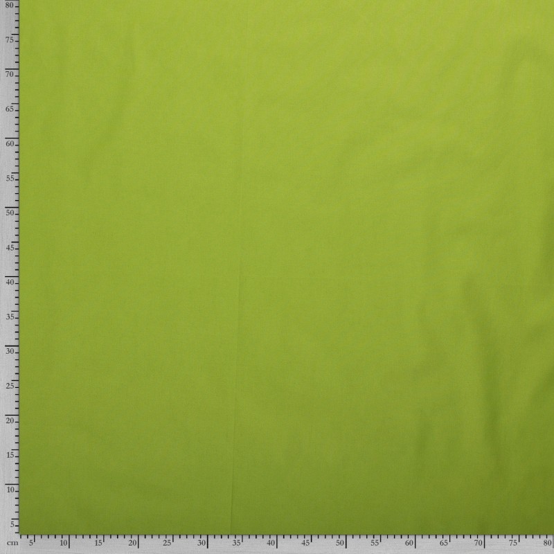 COTTON POPLIN 5569