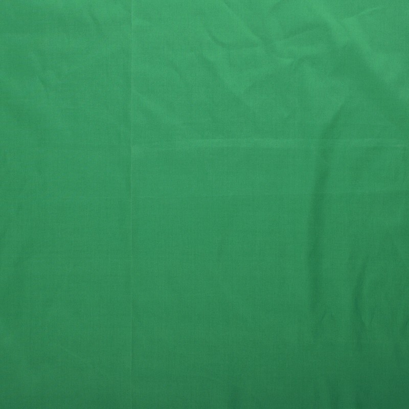 COTTON POPLIN 5569