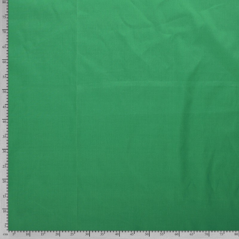 COTTON POPLIN 5569