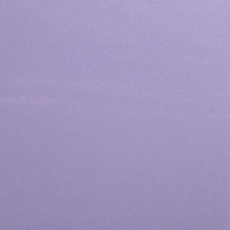 JOGGING BRUSHED 5650