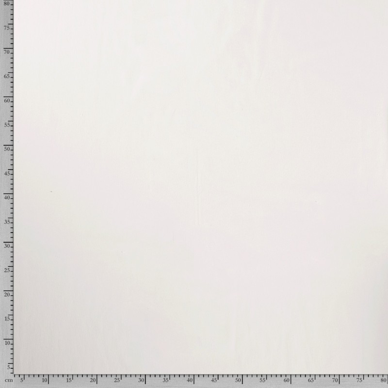 FRENCH TERRY ORGANIC 10802