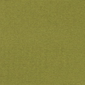 COTTON JERSEY 1MM Y/D STRIPE KHAKI GREEN