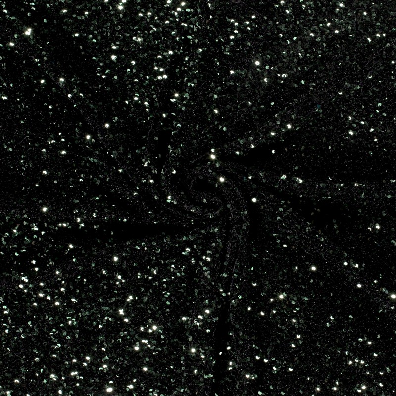 VELVET SEQUINS 