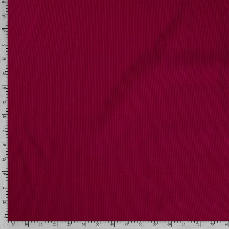 RIB JERSEY 250GSM UNI
