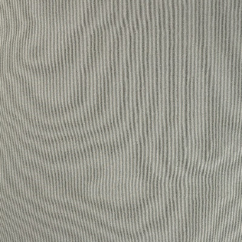 RIB JERSEY 250GSM UNI