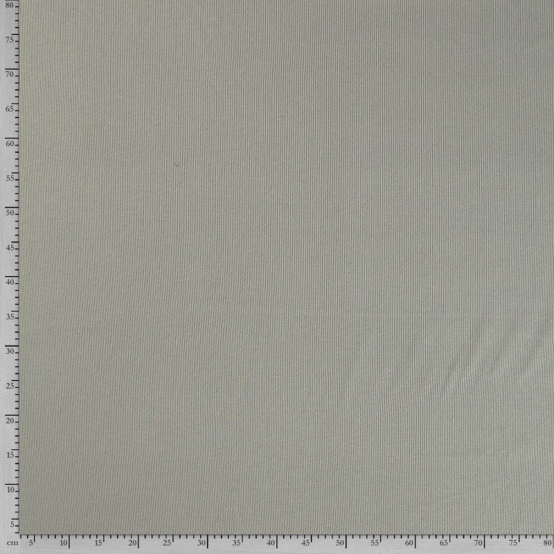 RIB JERSEY 250GSM UNI