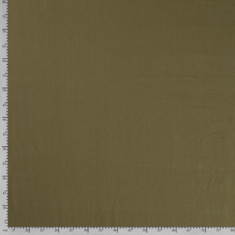 RIB JERSEY 250GSM UNI