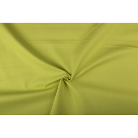 CANVAS MINT