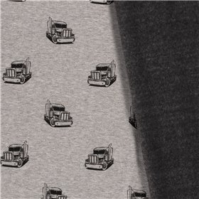 POLAR ALPEJSKI TRUCK GREY GREY