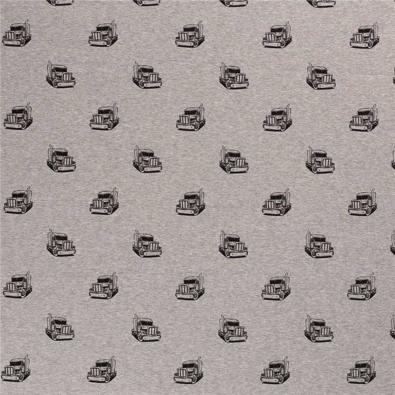 POLAR ALPEJSKI TRUCK GREY GREY
