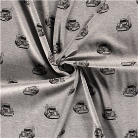 POLAR ALPEJSKI TRUCK GREY GREY