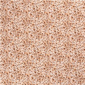 JERSEY BAWEŁNIANY CYFRA FLORA BEIGE