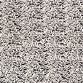 JERSEY BAWEŁNIANY CYFRA ZEBRA OFF WHITE