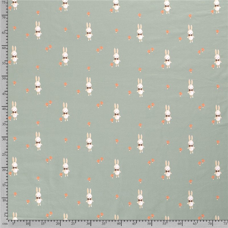 JERSEY BAWEŁNIANY CYFRA KRÓLIK DARK MINT